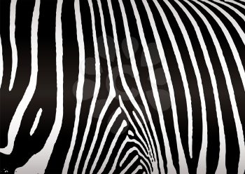 Royalty Free Clipart Image of a Zebra Print