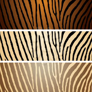 Royalty Free Clipart Image of Three Zebra Print Patterns