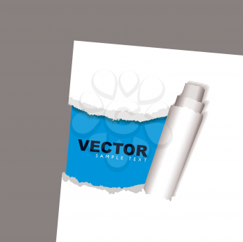 Royalty Free Clipart Image of a Torn White Paper Curling Back to Reveal Blue