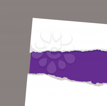 Royalty Free Clipart Image of a Purple Background Behind a Torn White Page