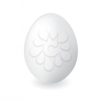 White duck egg shell with isolated white background and shadow