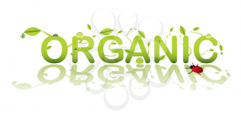 Text for organic shop or product with lady bug bird