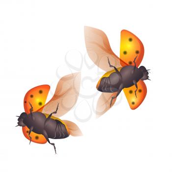 Royalty Free Clipart Image of Two Bugs