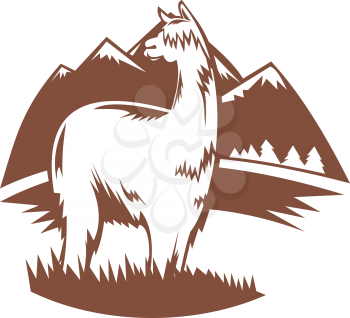 Royalty Free Clipart Image of an Alpaca