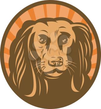 Royalty Free Clipart Image of a Cocker Spaniel