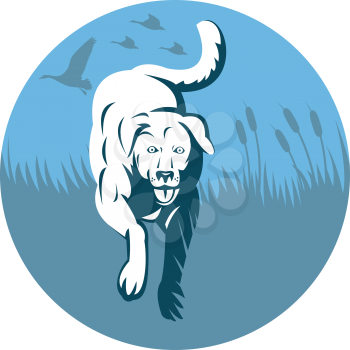Royalty Free Clipart Image of a Retriever in the Grass