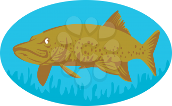 Royalty Free Clipart Image of a Pike