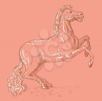 Royalty Free Clipart Image of a Rearing Horse