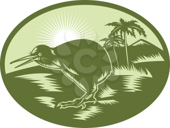 Royalty Free Clipart Image of a Kiwi