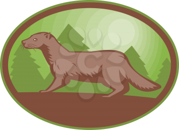 Royalty Free Clipart Image of a Mink Against a Backdrop of Evergreen Trees