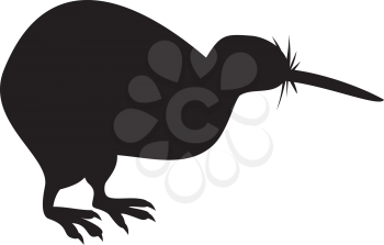 Royalty Free Clipart Image of a Kiwi Silhouette
