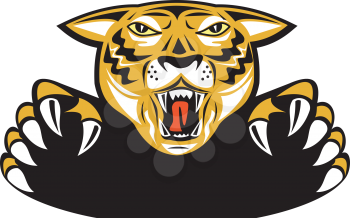Royalty Free Clipart Image of a Tiger Head and Claws