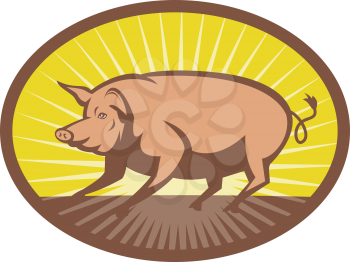 Royalty Free Clipart Image of a Pig By a Sunrise