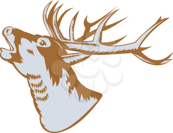 Stag Clipart