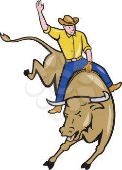 Illustration of rodeo cowboy riding bucking bull on isolated white background done in cartoon style.