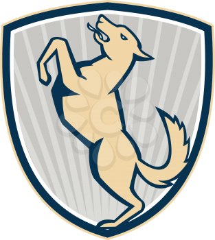 Illustration of an angry barking mongrel dog prancing side view set inside shield crest on white background.