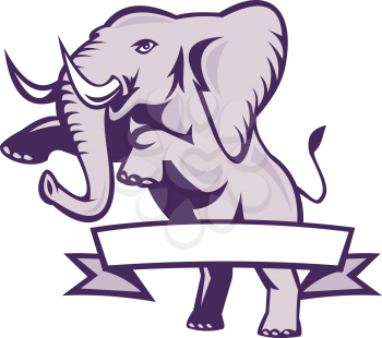 Illustration of an african elephant prancing with ribbon scroll wrapped around done in retro style on isolated white background.
