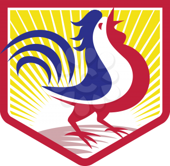 Illustration of a rooster cockerel crowing facing side set inside crest shield with sunburst done in retro style