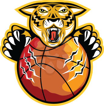 Illustration of an angry tiger head viewed with claws attacking basketball ball facing front on isolated background.