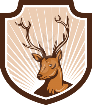 Illustration of a stag deer buck head facing front set inside shield crest done in cartoon style.