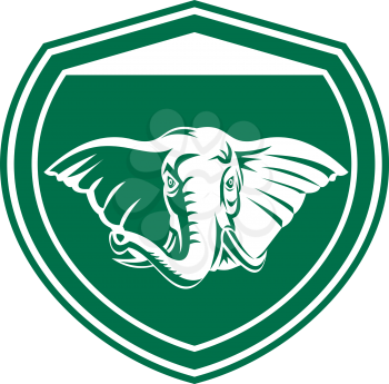 Illustration of an elephant head with tusk viewed from front set inside shield crest on isolated background done in retro style.