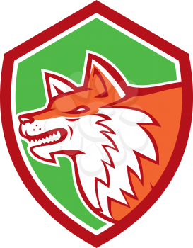 Illustration of an angry fox wild dog wolf head pouncing facing side set inside shield crest on isolated background done in retro style.