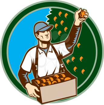 Illustration of a fruit picker fruit worker picking plum viewed from the front set inside circle shape done in retro style.