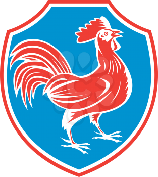 Illustration of a chicken rooster standing viewed from the side set inside shield crest on isolated background done in retro woodcut style. 