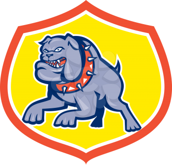 Illustration of an bulldog dog mongrel attacking set inside shield crest done in retro style on isolated background. 