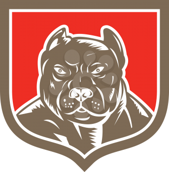 Illustration of a pitbull dog head facing front set inside shield crest on isolated background done in retro woodcut style.