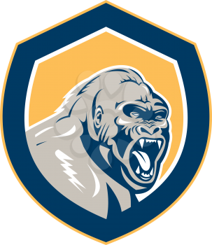 Illustration of an angry gorilla ape head set inside shield crest on isolated background done in retro style.