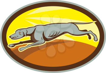 Illustration of a greyhound dog jumping racing running viewed from the side set inside oval on isolated background done in cartoon style.