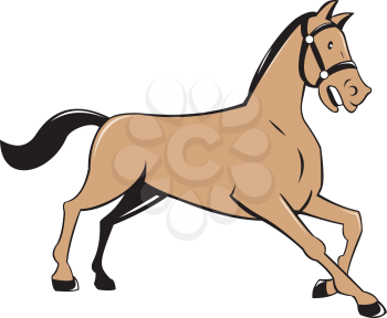 Illustration of a horse kneeling down viewed from the side set on isolated white background done in cartoon style. 