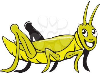 Illustration of a grasshopper crawling viewed from the side set on isolated white background done in cartoon style. 