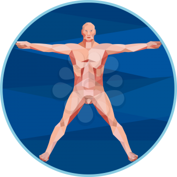 Low Polygon style illustration on the Da Vinci man Vitruvian Man male human anatomy showing a male spread eagle spreading arms viewed from front set inside circle on isolated background.