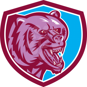 Illustration of a grizzly bear head angry growling set inside shield crest on isolated background done in retro style. 