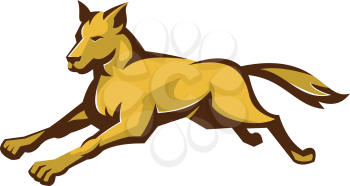 vector illustration of a wild dog wolf jumping viewed from front side done in retro style on isolated white background.