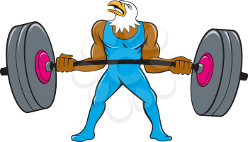 Cartoon style illustration of a bald eagle weightlifter lifting barbell looking to the side set on isolated white background. 