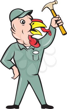 Cartoon style illustration of a wild turkey builder standing holding clutching hammer looking to the side set on isolated white background.