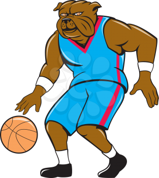 Illustration of a bulldog basketball player dribbling ball viewed from front set on isolated background done in cartoon style.
