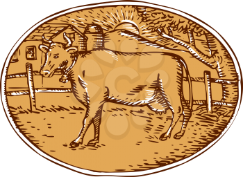 Illustration of cow facing side with ranch house farm mountain sun trees in the background set inside oval shape done in retro woodcut style. 