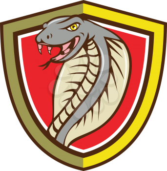 Illustration of a cobra viper snake serpent head with tongue out attacking set inside shield crest on isolated background done in cartoon style. 