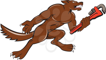Illustration of a wolf plumber holding monkey wrench viewed from side set on isolated white background done in cartoon style. 