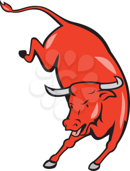 Illustration of a texas longhorn red bull jumping viewed from front set on isolated white background done in cartoon style. 