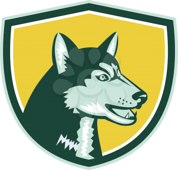 Illustration of a siberian husky dog of the spitz breed viewed from the side set inside crest shield done imn retro style on isolated bacgkround.