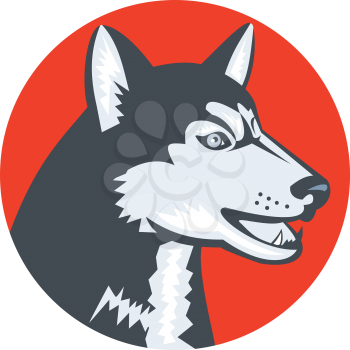 Illustration of a siberian husky dog of the spitz breed viewed from the side set inside circle done in retro style on isolated background.