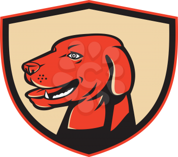 Illustration of a labrador golden retriever dog head viewed from the side set inside shield crest on isolated background done in retro style. 