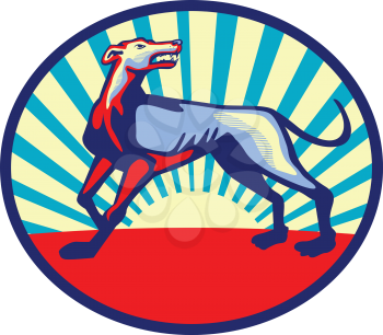 Illustration of an angry greyhound dog with mouth open looking up viewed from the side set inside oblong oval shape with sunburst in the background done in retro style. 