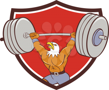 Cartoon style illustration of a bald eagle weightlifter lifting barbell looking up to the side set inside shield crest on isolated background. 