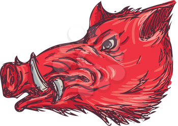 Drawing sketch style illustration of a wild pig boar razorback head viewed from the side set on isolated white background. 